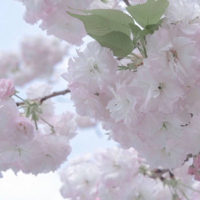 兽设山谷场景创作Furry群